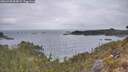./images/calvert/foggy-cove/20260428/foggy-cove20260428_084001M.jpg