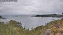./images/calvert/foggy-cove/20260428/foggy-cove20260428_084501M.jpg