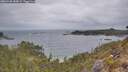 ./images/calvert/foggy-cove/20260428/foggy-cove20260428_085001M.jpg
