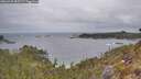 ./images/calvert/foggy-cove/20260428/foggy-cove20260428_085501M.jpg