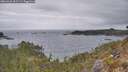 ./images/calvert/foggy-cove/20260428/foggy-cove20260428_091501M.jpg