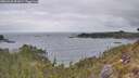 ./images/calvert/foggy-cove/20260428/foggy-cove20260428_092001M.jpg