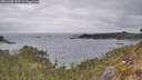 ./images/calvert/foggy-cove/20260428/foggy-cove20260428_092502M.jpg