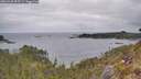 ./images/calvert/foggy-cove/20260428/foggy-cove20260428_093501M.jpg