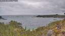 ./images/calvert/foggy-cove/20260428/foggy-cove20260428_100001M.jpg