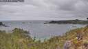 ./images/calvert/foggy-cove/20260428/foggy-cove20260428_100501M.jpg