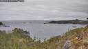 ./images/calvert/foggy-cove/20260428/foggy-cove20260428_101501M.jpg