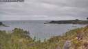 ./images/calvert/foggy-cove/20260428/foggy-cove20260428_102501M.jpg