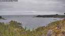 ./images/calvert/foggy-cove/20260428/foggy-cove20260428_103002M.jpg