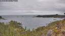 ./images/calvert/foggy-cove/20260428/foggy-cove20260428_103501M.jpg