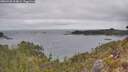 ./images/calvert/foggy-cove/20260428/foggy-cove20260428_104001M.jpg