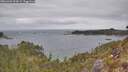 ./images/calvert/foggy-cove/20260428/foggy-cove20260428_104502M.jpg
