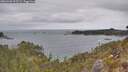 ./images/calvert/foggy-cove/20260428/foggy-cove20260428_105501M.jpg