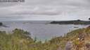 ./images/calvert/foggy-cove/20260428/foggy-cove20260428_110001M.jpg