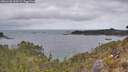 ./images/calvert/foggy-cove/20260428/foggy-cove20260428_110501M.jpg