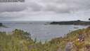 ./images/calvert/foggy-cove/20260428/foggy-cove20260428_111001M.jpg