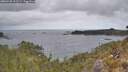 ./images/calvert/foggy-cove/20260428/foggy-cove20260428_111501M.jpg