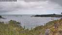 ./images/calvert/foggy-cove/20260428/foggy-cove20260428_112001M.jpg