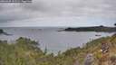 ./images/calvert/foggy-cove/20260428/foggy-cove20260428_112502M.jpg