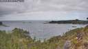 ./images/calvert/foggy-cove/20260428/foggy-cove20260428_113002M.jpg