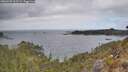 ./images/calvert/foggy-cove/20260428/foggy-cove20260428_113501M.jpg