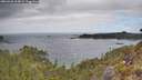 ./images/calvert/foggy-cove/20260428/foggy-cove20260428_114002M.jpg