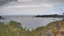 ./images/calvert/foggy-cove/20260428/foggy-cove20260428_114501M.jpg
