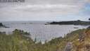 ./images/calvert/foggy-cove/20260428/foggy-cove20260428_115002M.jpg