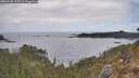./images/calvert/foggy-cove/20260428/foggy-cove20260428_115501M.jpg