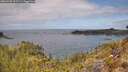 ./images/calvert/foggy-cove/20260428/foggy-cove20260428_121501M.jpg