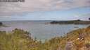 ./images/calvert/foggy-cove/20260428/foggy-cove20260428_122501M.jpg