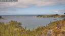 ./images/calvert/foggy-cove/20260428/foggy-cove20260428_123002M.jpg