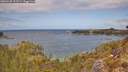 ./images/calvert/foggy-cove/20260428/foggy-cove20260428_123501M.jpg