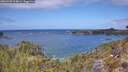 ./images/calvert/foggy-cove/20260428/foggy-cove20260428_124001M.jpg