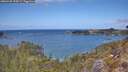 ./images/calvert/foggy-cove/20260428/foggy-cove20260428_124501M.jpg