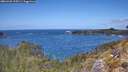 ./images/calvert/foggy-cove/20260428/foggy-cove20260428_125501M.jpg