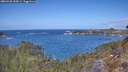 ./images/calvert/foggy-cove/20260428/foggy-cove20260428_130001M.jpg
