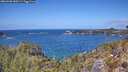 ./images/calvert/foggy-cove/20260428/foggy-cove20260428_130501M.jpg
