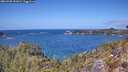 ./images/calvert/foggy-cove/20260428/foggy-cove20260428_131001M.jpg