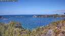 ./images/calvert/foggy-cove/20260428/foggy-cove20260428_131501M.jpg