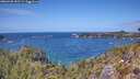 ./images/calvert/foggy-cove/20260428/foggy-cove20260428_132501M.jpg