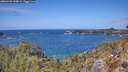 ./images/calvert/foggy-cove/20260428/foggy-cove20260428_133001M.jpg