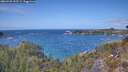 ./images/calvert/foggy-cove/20260428/foggy-cove20260428_133501M.jpg