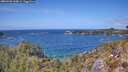 ./images/calvert/foggy-cove/20260428/foggy-cove20260428_134001M.jpg
