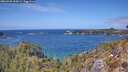 ./images/calvert/foggy-cove/20260428/foggy-cove20260428_134501M.jpg