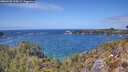 ./images/calvert/foggy-cove/20260428/foggy-cove20260428_135001M.jpg