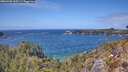 ./images/calvert/foggy-cove/20260428/foggy-cove20260428_135501M.jpg