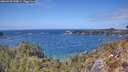 ./images/calvert/foggy-cove/20260428/foggy-cove20260428_140001M.jpg