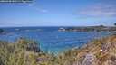 ./images/calvert/foggy-cove/20260428/foggy-cove20260428_140501M.jpg