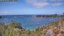 ./images/calvert/foggy-cove/20260428/foggy-cove20260428_141501M.jpg